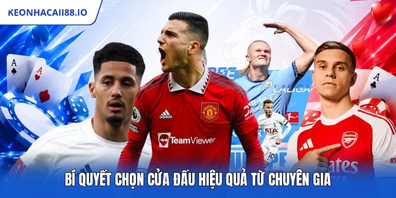 Bí quyết chọn cửa đấu hiệu quả từ chuyên gia