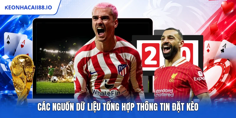 Các nguồn dữ liệu tổng hợp thông tin đặt kèo